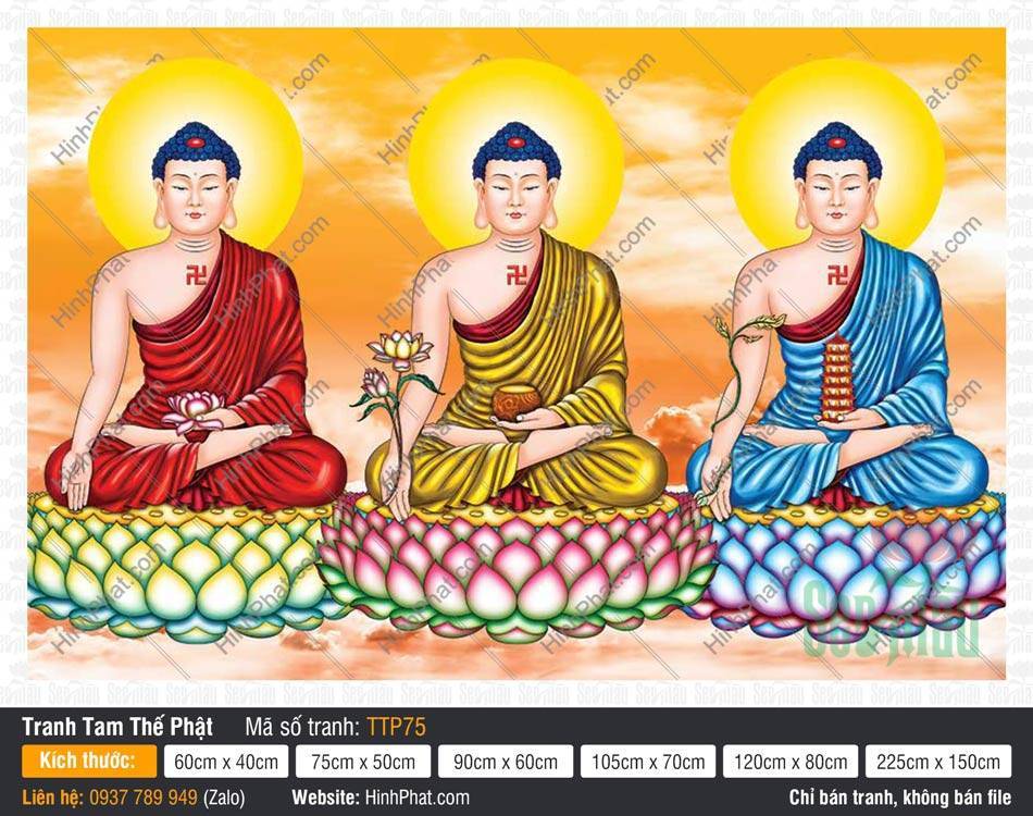 Tranh Tam Thế Nhất Thiết Chư Phật TTP75 Tranh Tam Thế Nhất Thiết Chư Phật TTP75 họa ba Đức Phật áo ba màu