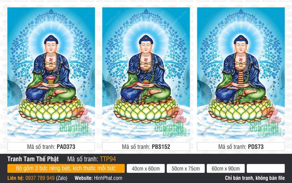 Tranh Tam Thế Nhất Thiết Chư Phật TTP94 Tranh Tam Thế Nhất Thiết Chư Phật TTP94 ba vị mặc áo xanh dương đậm