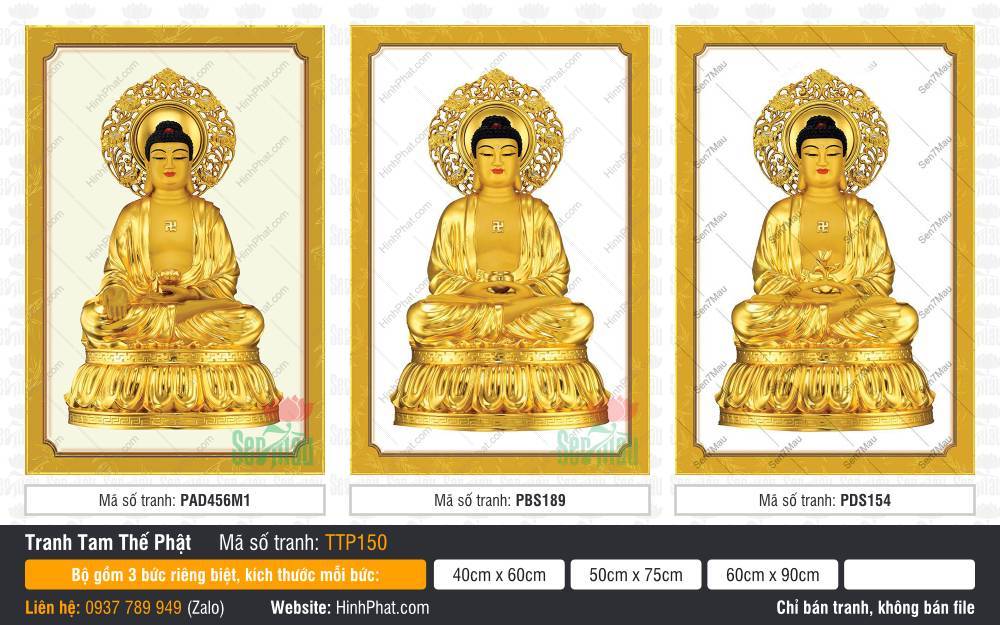Tranh Tam Thế Phật Size Lớn TTP150 Tranh Tam Thế Phật Size Lớn TTP150 sắc vàng hoàng kim tỏa hào quang hoa văn ren tinh xảo