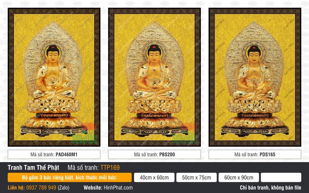 Tranh Tam Thế Phật Size Lớn TTP169 Tranh Tam Thế Phật Size Lớn TTP169 ngự tòa sen vàng nền gấm hào quang tinh xảo