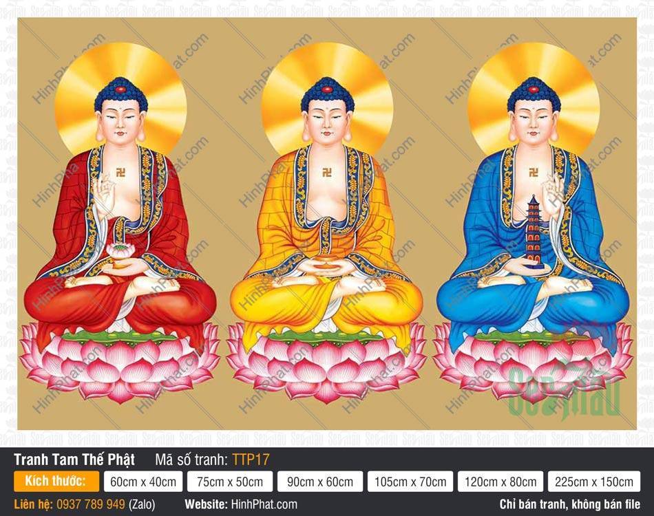 Tranh Tam Thế Phật Size Lớn TTP17 Bức Tranh Tam Thế Phật Size Lớn TTP17 khắc họa ba Đức Phật ngự đài sen hồng