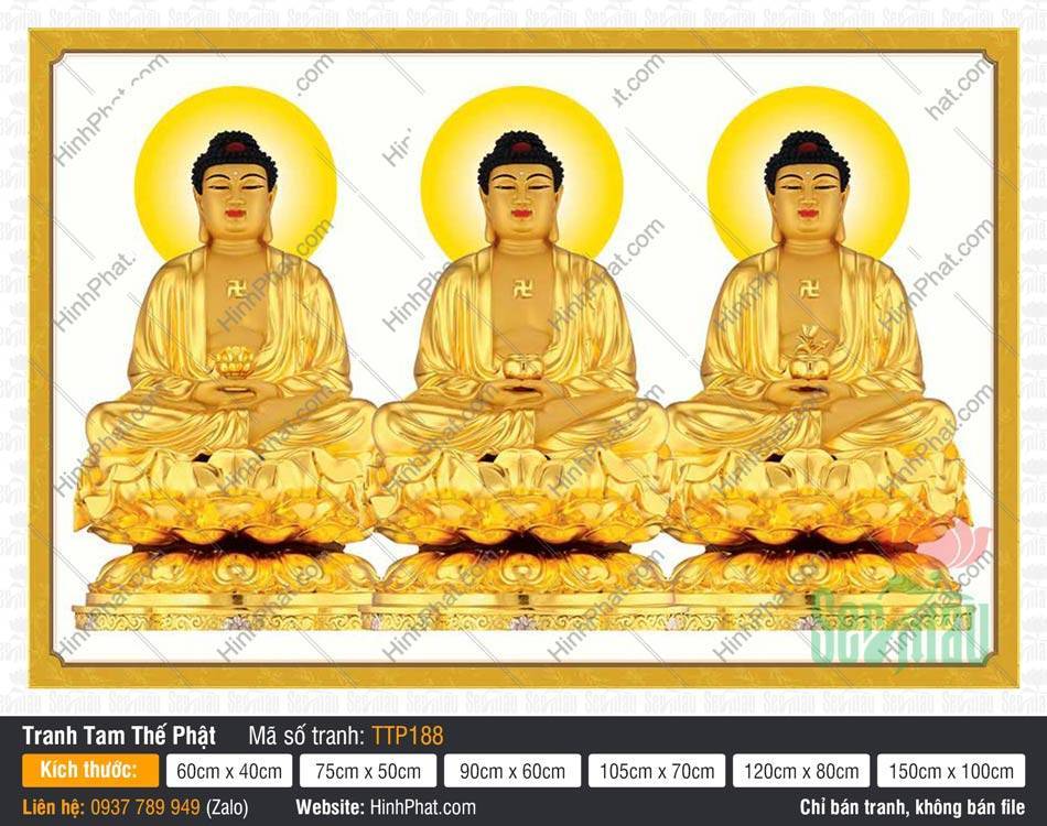 Tranh Tam Thế Phật Size Lớn TTP188 Tranh Tam Thế Phật Size Lớn TTP188 vẽ ba Đức Phật tỏa hào quang tròn nền trắng