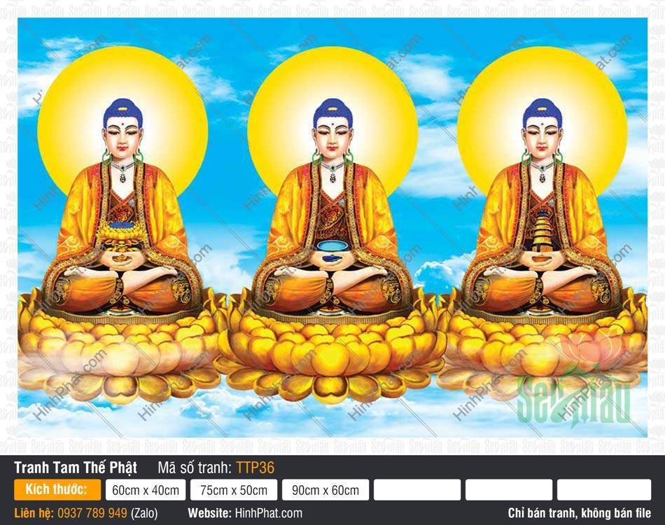 Tranh Tam Thế Phật Size Lớn TTP36 Tranh Tam Thế Phật Size Lớn TTP36 khắc họa ba vị Phật ngự đài sen vàng