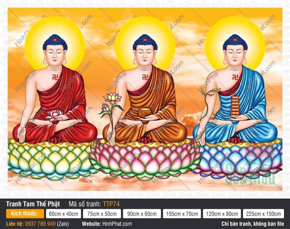 Tranh Tam Thế Phật Size Lớn TTP74 Tranh Tam Thế Phật Size Lớn TTP74 họa ba vị Phật đắp y ba màu