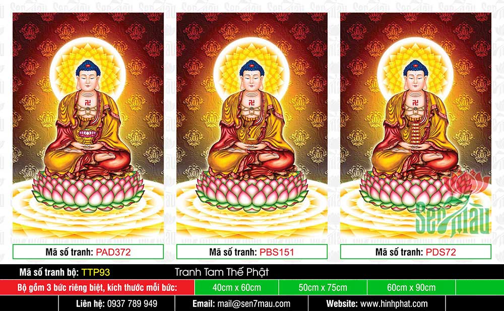 Tranh Tam Thế Phật - Size Lớn TTP93