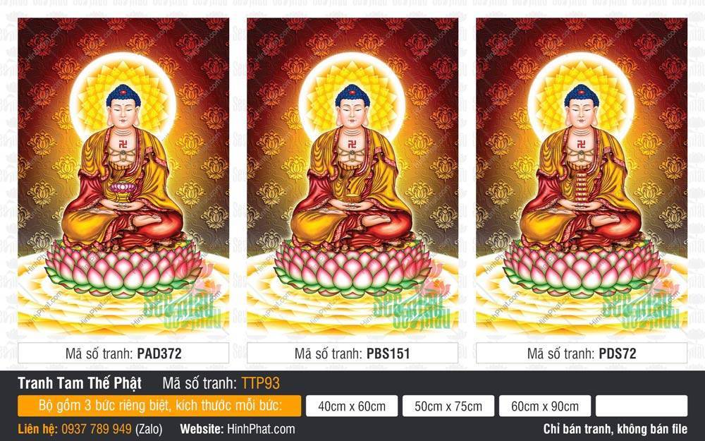 Tranh Tam Thế Phật Size Lớn TTP93 Bộ Tranh Tam Thế Phật Size Lớn TTP93 gồm ba bức họa nền gấm vàng