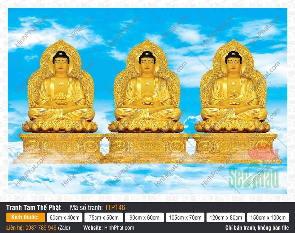 Tranh Tam Thế Phật TTP146 Tranh Tam Thế Phật TTP146 vẽ ba Đức Phật tọa sen báu trên nền trời xanh
