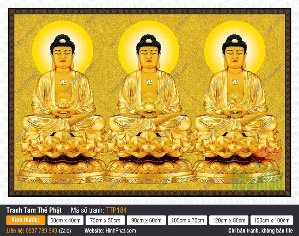 Tranh Tam Thế Phật TTP184 Tranh Tam Thế Phật TTP184 sắc vàng hoàng kim đồng bộ tỏa hào quang tròn uy nghiêm trang trọng
