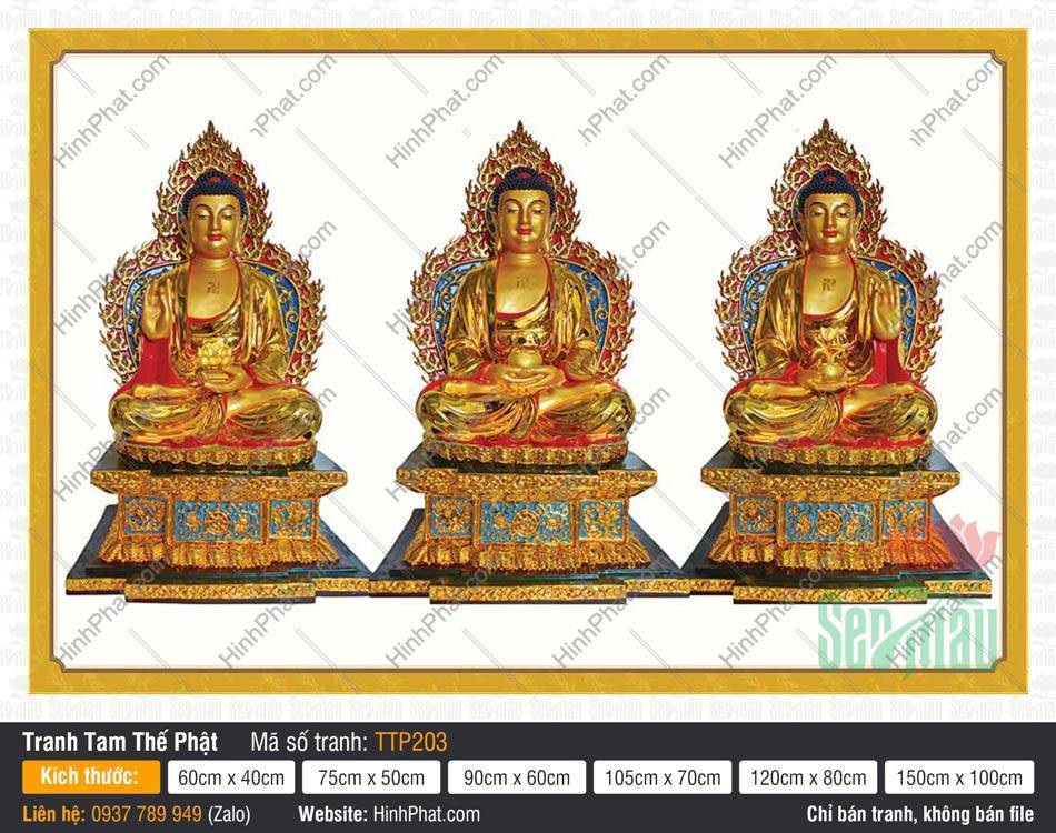 Tranh Tam Thế Phật TTP203 Tranh Tam Thế Phật TTP203 khắc họa ba Đức Phật ngự sen vàng phối sắc xanh lam cổ kính