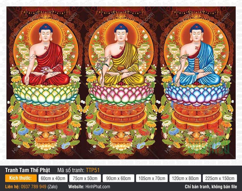 Tranh Tam Thế Phật TTP51 Tranh Tam Thế Phật TTP51 họa hình ba Đức Phật mặc y phục ba màu sắc