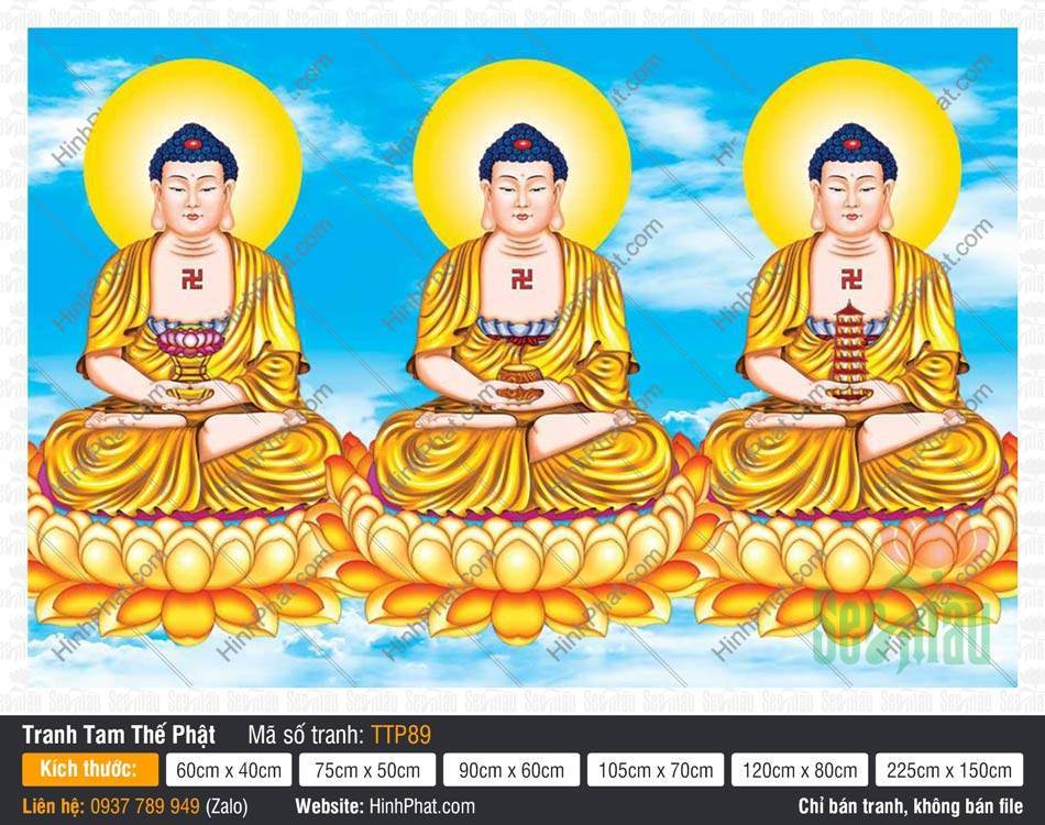 Tranh Tam Thế Phật TTP89 Tranh Tam Thế Phật TTP89 họa ba vị Phật mặc áo y vàng đồng nhất