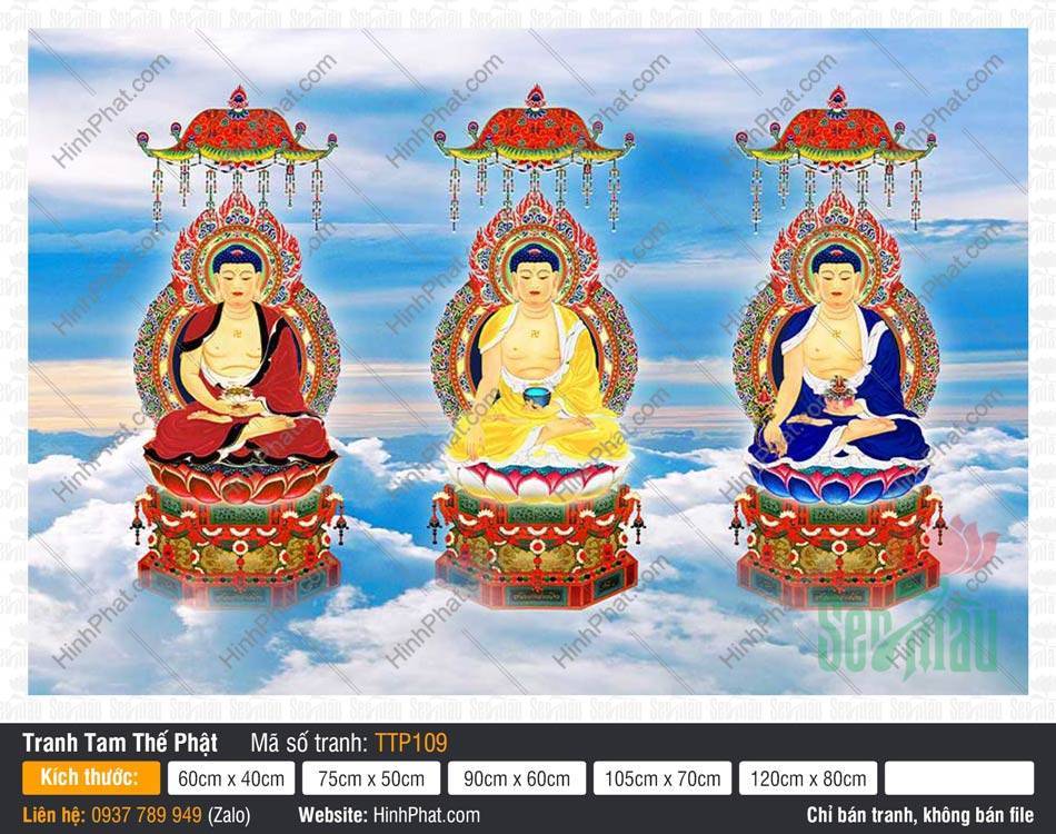 Tranh Tam Thế Phật đẹp TTP109 Tranh Tam Thế Phật đẹp TTP109 ba vị Phật khoác áo ba màu ngự lọng bảo