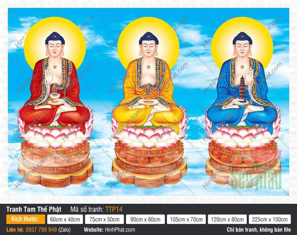 Tranh Tam Thế Phật đẹp TTP14 Tranh Tam Thế Phật đẹp TTP14 miêu tả ba Đức Phật khoác áo ba màu nền trời xanh