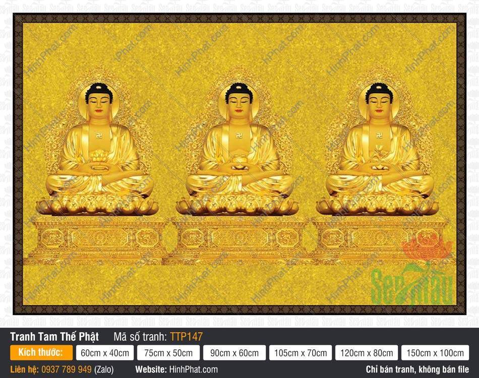 Tranh Tam Thế Phật đẹp TTP147 Tranh Tam Thế Phật đẹp TTP147 sắc vàng kim uy nghiêm trên phông nền gấm hoa văn