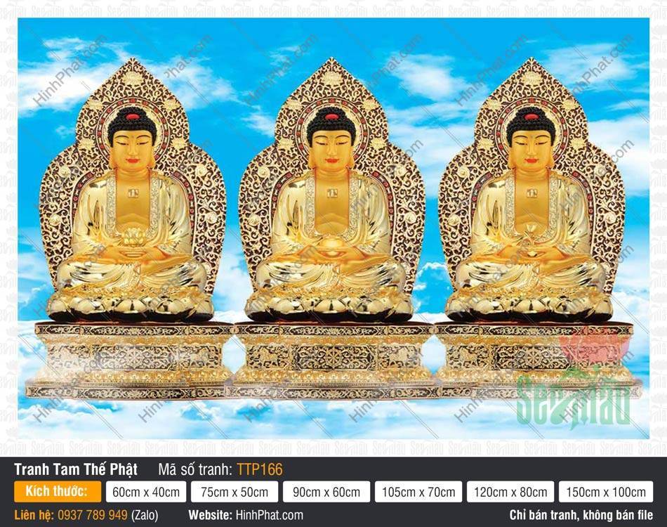 Tranh Tam Thế Phật đẹp TTP166 Tranh Tam Thế Phật đẹp TTP166 tỏa hào quang ren hoa văn giữa nền trời xanh