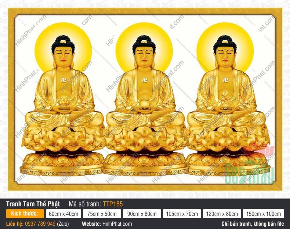 Tranh Tam Thế Phật đẹp TTP185 Tranh Tam Thế Phật đẹp TTP185 khắc họa ba Đức Phật ngự sen vàng tỏa hào quang tròn