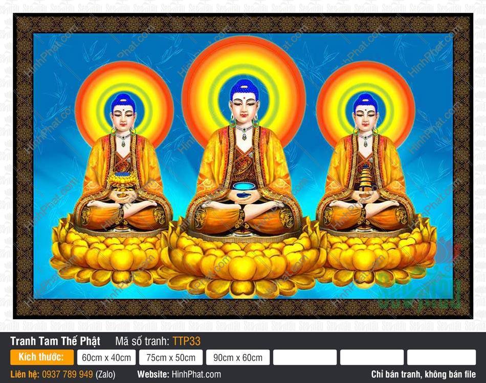 Tranh Tam Thế Phật đẹp TTP33 Tranh Tam Thế Phật đẹp TTP33 khắc họa ba vị Phật tọa thiền trên đài sen