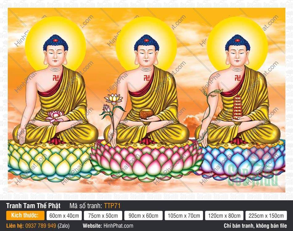Tranh Tam Thế Phật đẹp TTP71 Tranh Tam Thế Phật đẹp TTP71 khắc họa ba vị Phật mặc y vàng tọa thiền