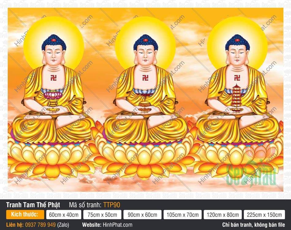 Tranh Tam Thế Phật đẹp TTP90 Bức Tranh Tam Thế Phật đẹp TTP90 khắc họa ba Đức Phật mặc y phục màu vàng