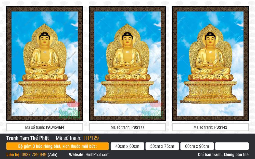 Tranh Tam Thế Phật đẹp nhất TTP129 Tranh Tam Thế Phật đẹp nhất TTP129 sắc vàng kim tỏa sáng trên nền trời xanh