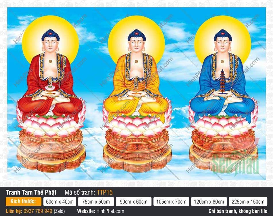 Tranh Tam Thế Phật đẹp nhất TTP15 Tranh Tam Thế Phật đẹp nhất TTP15 ba Đức Phật mặc y ba màu nền trời