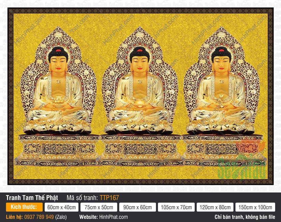 Tranh Tam Thế Phật đẹp nhất TTP167 Tranh Tam Thế Phật đẹp nhất TTP167 khắc họa ba Đức Phật ngự sen vàng liền khối