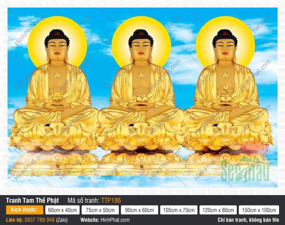 Tranh Tam Thế Phật đẹp nhất TTP186 Tranh Tam Thế Phật đẹp nhất TTP186 tỏa sắc hoàng kim giữa phông nền trời xanh