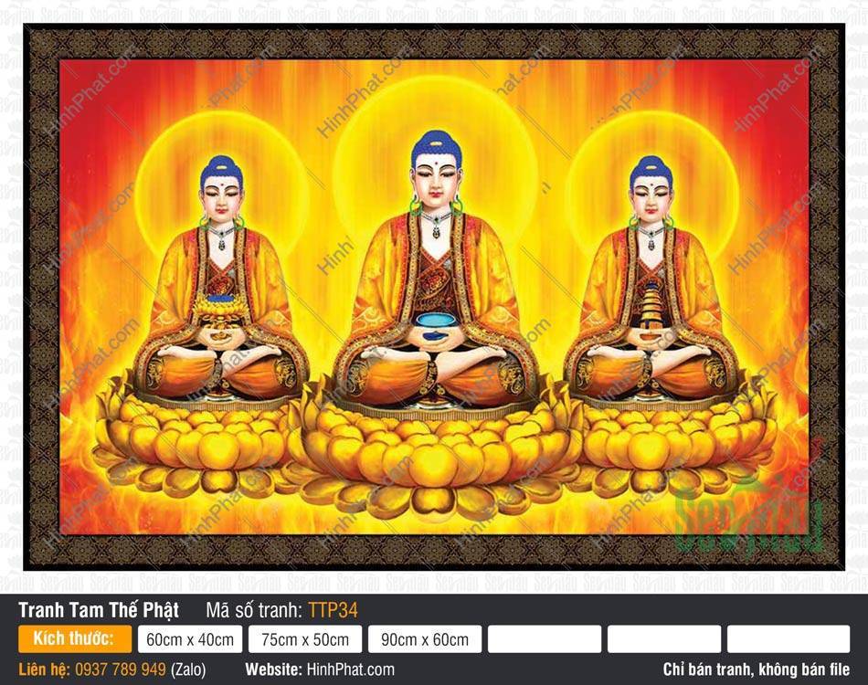 Tranh Tam Thế Phật đẹp nhất TTP34 Tranh Tam Thế Phật đẹp nhất TTP34 khắc họa ba Đức Phật ngự tòa sen vàng