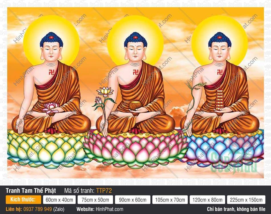 Tranh Tam Thế Phật đẹp nhất TTP72 Tranh Tam Thế Phật đẹp nhất TTP72 tả ba Đức Phật khoác y phục vàng đất