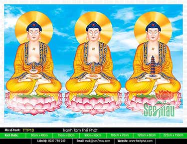 Hình Tam Thế Chư Phật TTP10