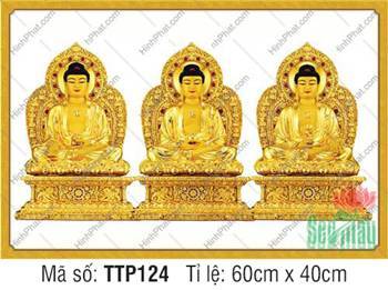 Hình Tam Thế Chư Phật TTP124, nét giả phù điêu sắc vàng