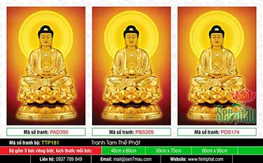 Hình Tam Thế Chư Phật TTP181