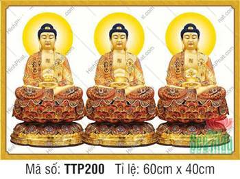 Hình Tam Thế Chư Phật TTP200, họa phẩm y phục gấm hoa văn cổ