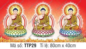 Hình Tam Thế Chư Phật TTP29, ba Đức Phật ngự tòa sen ba màu sắc