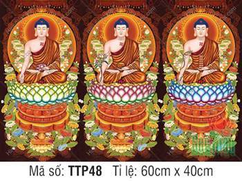 Hình Tam Thế Chư Phật TTP48, ba Đức Phật ngự đài sen tam sắc