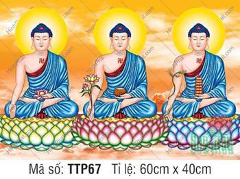 Hình Tam Thế Chư Phật TTP67, sắc xanh thanh tịnh đồng nhất