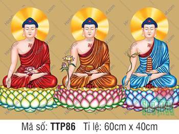 Hình Tam Thế Chư Phật TTP86, ba Đức Thế Tôn mặc y phục ba sắc màu