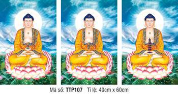 Hình Tam Thế Nhất Thiết Chư Phật TTP107, nét vẽ dung mạo từ bi