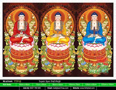 Hình Tam Thế Nhất Thiết Chư Phật TTP12