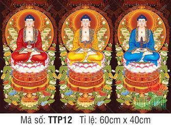 Hình Tam Thế Nhất Thiết Chư Phật TTP12, ba sắc y áo trang nghiêm
