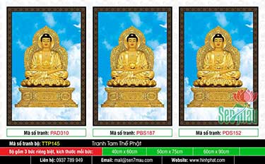 Hình Tam Thế Nhất Thiết Chư Phật TTP145