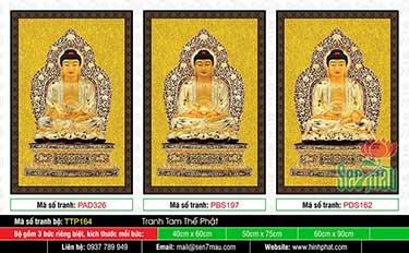 Hình Tam Thế Nhất Thiết Chư Phật TTP164