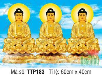 Hình Tam Thế Nhất Thiết Chư Phật TTP183, ba vị sắc vàng nền mây trời