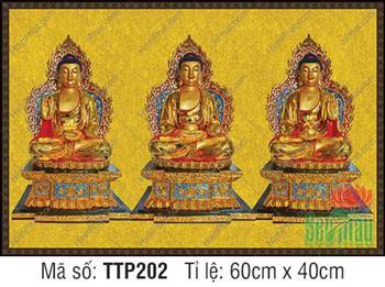 Hình Tam Thế Nhất Thiết Chư Phật TTP202, bệ sen xanh hào quang đỏ
