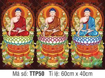Hình Tam Thế Nhất Thiết Chư Phật TTP50, họa diện y phục tam sắc