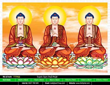 Hình Tam Thế Nhất Thiết Chư Phật TTP69