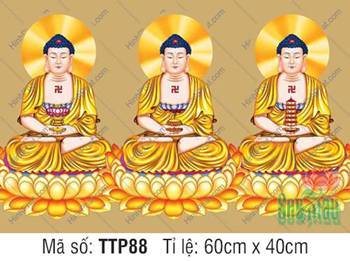 Hình Tam Thế Nhất Thiết Chư Phật TTP88, đồng nhất sắc y vàng cam