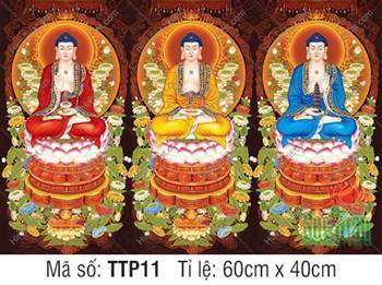 Hình Tam Thế Phật Size Lớn TTP11, ba vị Phật mặc y phục ba màu