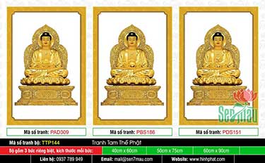 Hình Tam Thế Phật - Size Lớn TTP144