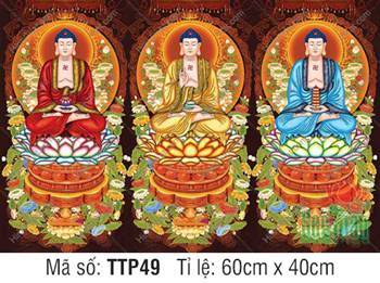 Hình Tam Thế Phật Size Lớn TTP49, Ba Màu Áo Cà Sa Độc Đáo